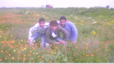 mes amis