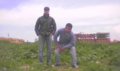 mon ami