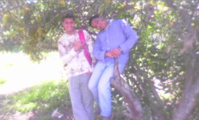 mon ami